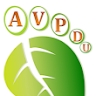 Piede Diabetico