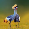 mukavatours andsafaris