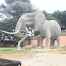 frank mazimba