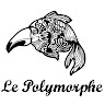 NYCTALOPE Le Polymorphe