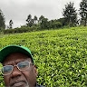 joseph kangara