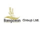 Bongomin Group Limited