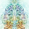 Vivid Visions