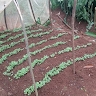 Rymond Ssekiranda