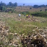 gilbert kiprono