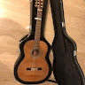 Rikards Guitar
