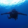 Dusan Nikolic