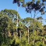 Trésor Nature