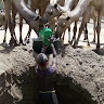 Karamoja Agro-Pastoral Development Programme