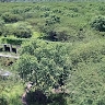 Pastefor Raby Makouta