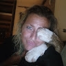 Sue Coscino