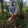 Renny Kip