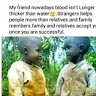 Shem Mutua