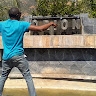 Thamaga Ditsi