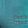 Shamsa Kanwal