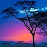 Alex Ochieng