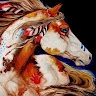 CHEVAL CHAMANE