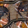 Anthony Bertado