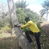 Ali Makuu