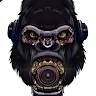 Guerilla Studios