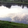 kagure eunice