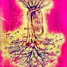 Tuba Senger-Mag
