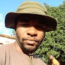 Roar Mandhlazi