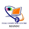 PEAK COMPUTERS