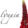 Lyupin. ua