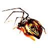 Vertigo Vendeta