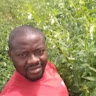 DALHA HAMZA