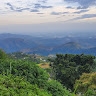 Shawn Hettiarachchi