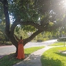 Ashanti Ngozi