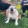 Ricky Davis