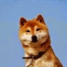 Chang Shu