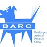 Bridgeport Animal Rescue Crew