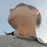 Rui Guerreiro