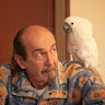 norberto zinzone