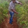 Tafadzwa Chimuti