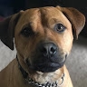 Jr. G