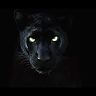 River Rouge Panthers  