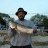 Cleophus Robinson