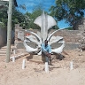 Sameer Owango
