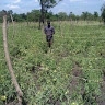 Samuel Odongkara