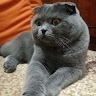 Марина  