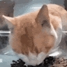 Flaky  