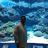 raynard allen