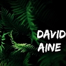 Aine David