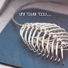 משה אהרון אסולין