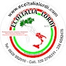 LORDI VITO